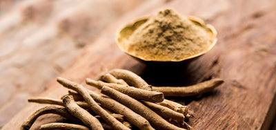 Ashwagandha (Shoden®)