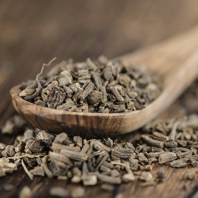 Valerian Root